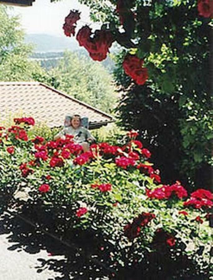 Haus Bergblick Bay. Wald Daire Prackenbach Dış mekan fotoğraf