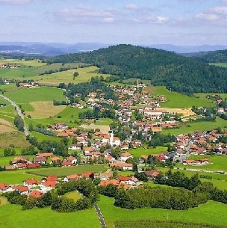 Haus Bergblick Bay. Wald Daire Prackenbach Dış mekan fotoğraf